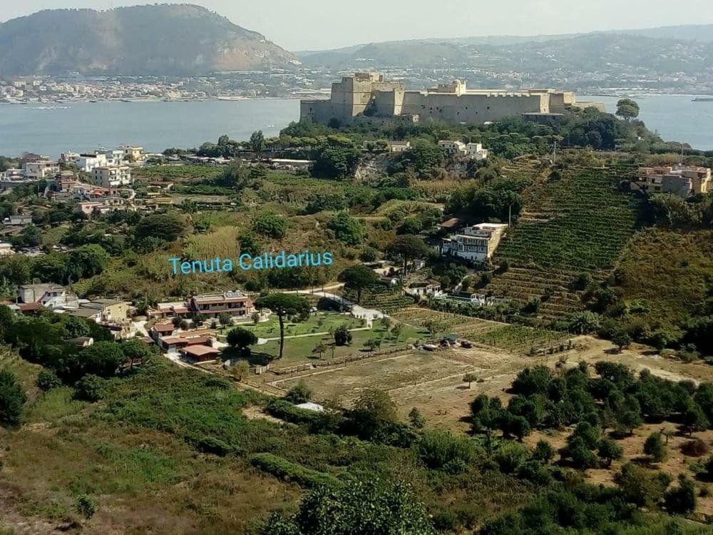 Tenuta Calidarius Baia  Екстер'єр фото